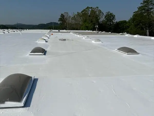 2024-catalfano-commercial-roofing-maintenance-01